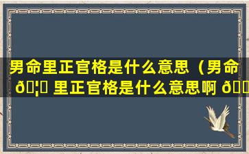 男命里正官格是什么意思（男命 🦁 里正官格是什么意思啊 🐬 ）